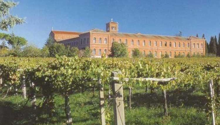 A Casa Di Marco Guesthouse - Apt Di Ciampino E Stazione Per Roma Marino Zewnętrze zdjęcie